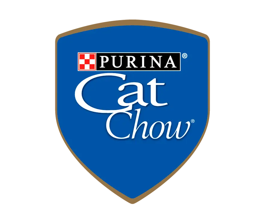 catchow logo