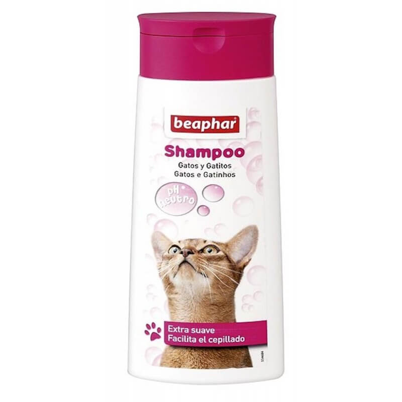 shampoo